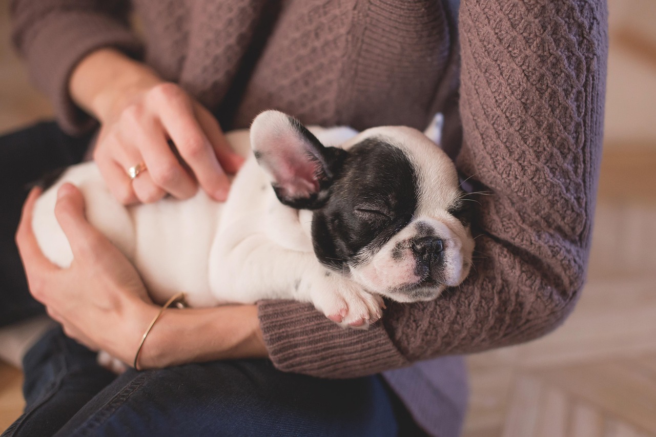 Dormire meglio con la meditazione: la guida definitiva Oh-myzen